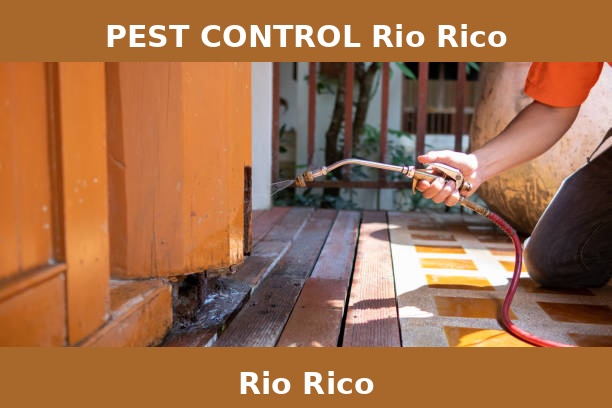 PEST CONTROL Rio Rico